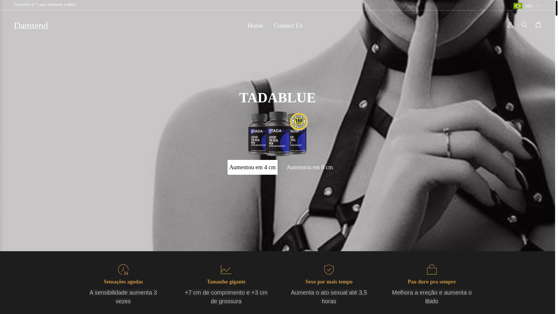 website screenshot of https://damtend.com/