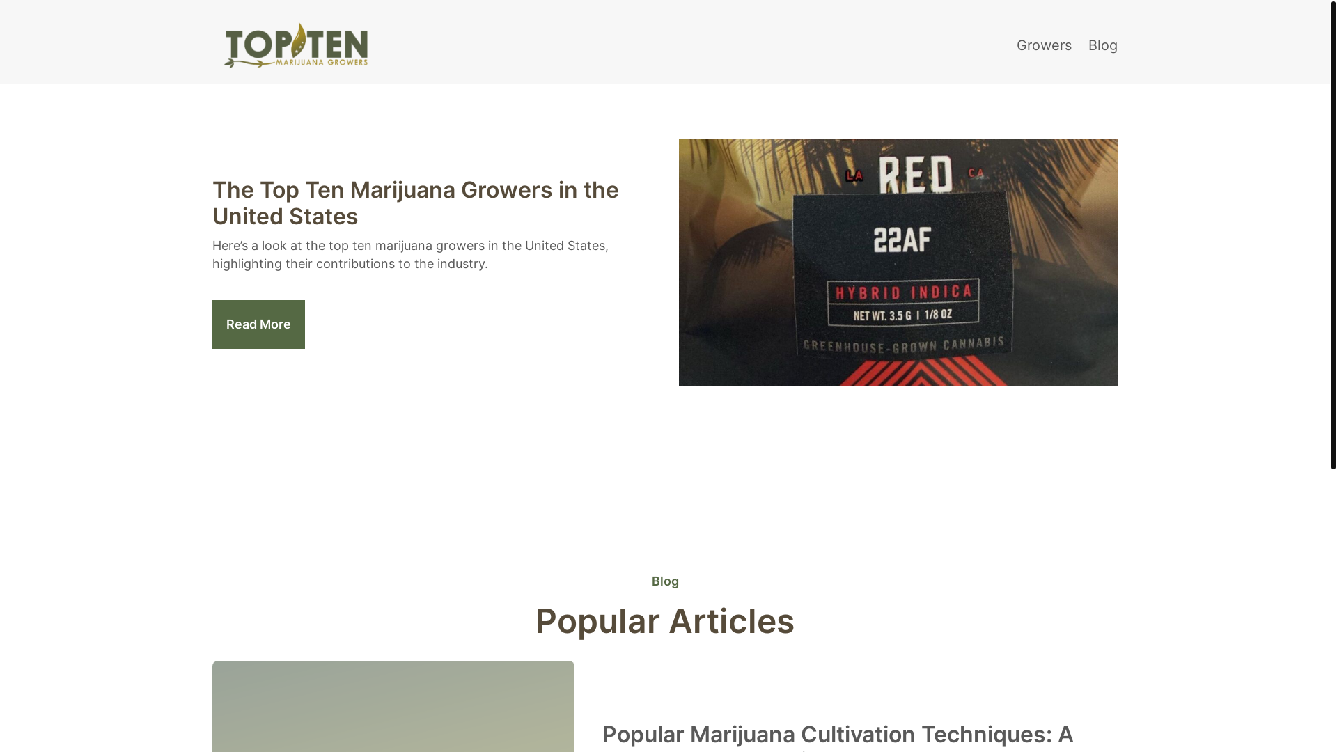 website screenshot of https://toptenmarijuanagrowers-com.pages.dev/