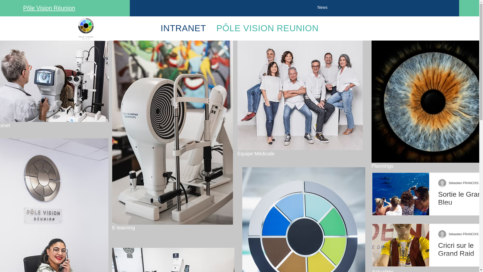 website screenshot of https://intranetpolevision.com/