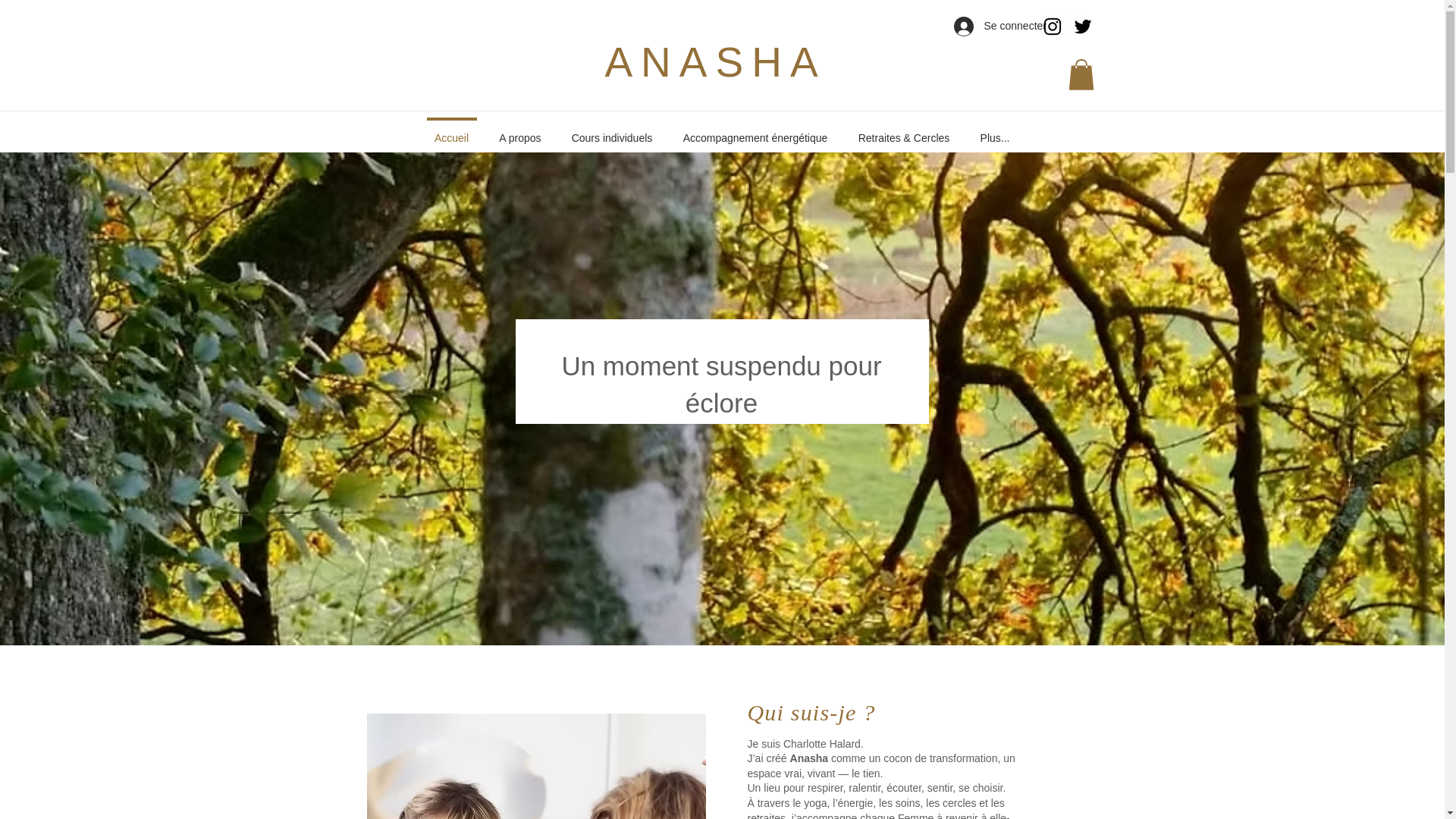 website screenshot of https://charlottehalard-anasha.com/