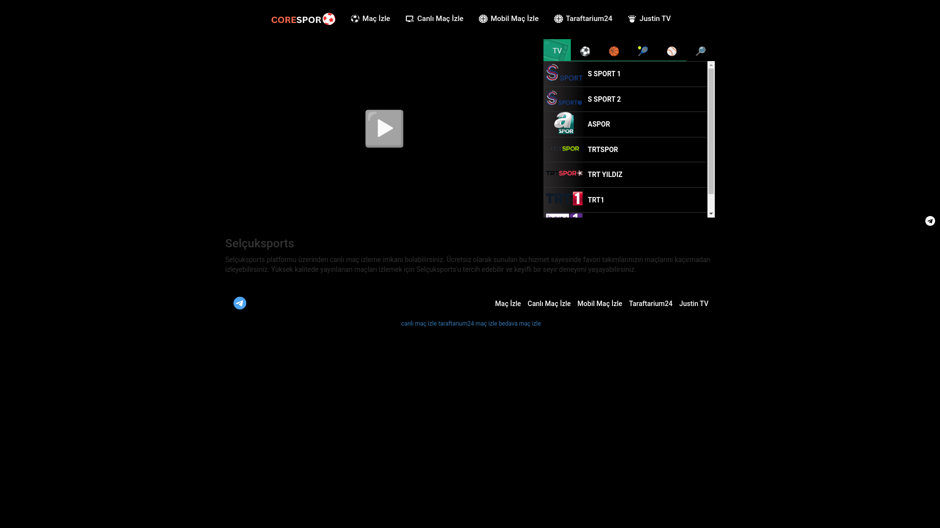 website screenshot of https://selcuksports42.in/