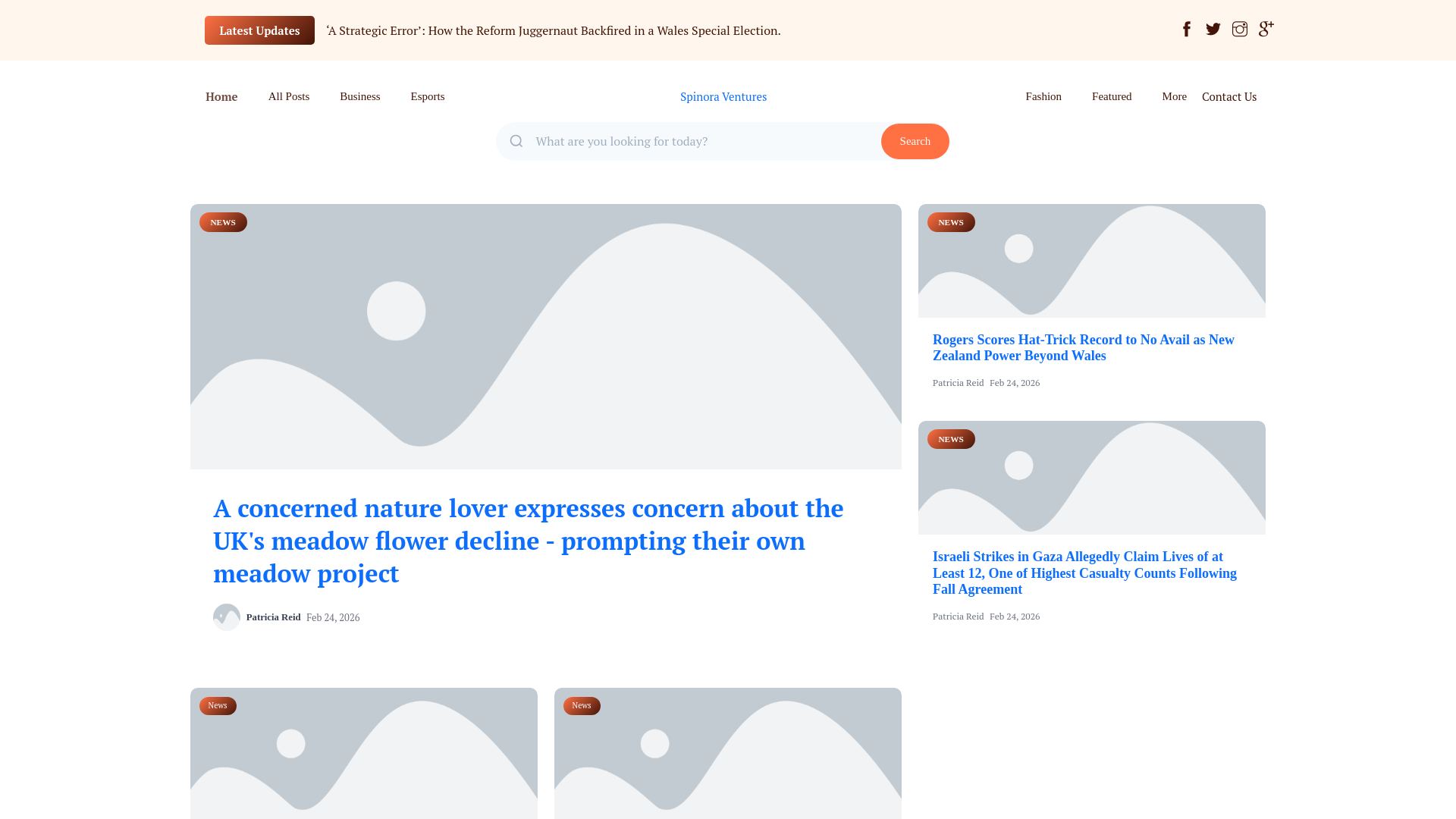 website screenshot of https://spinoraventures.co.uk/