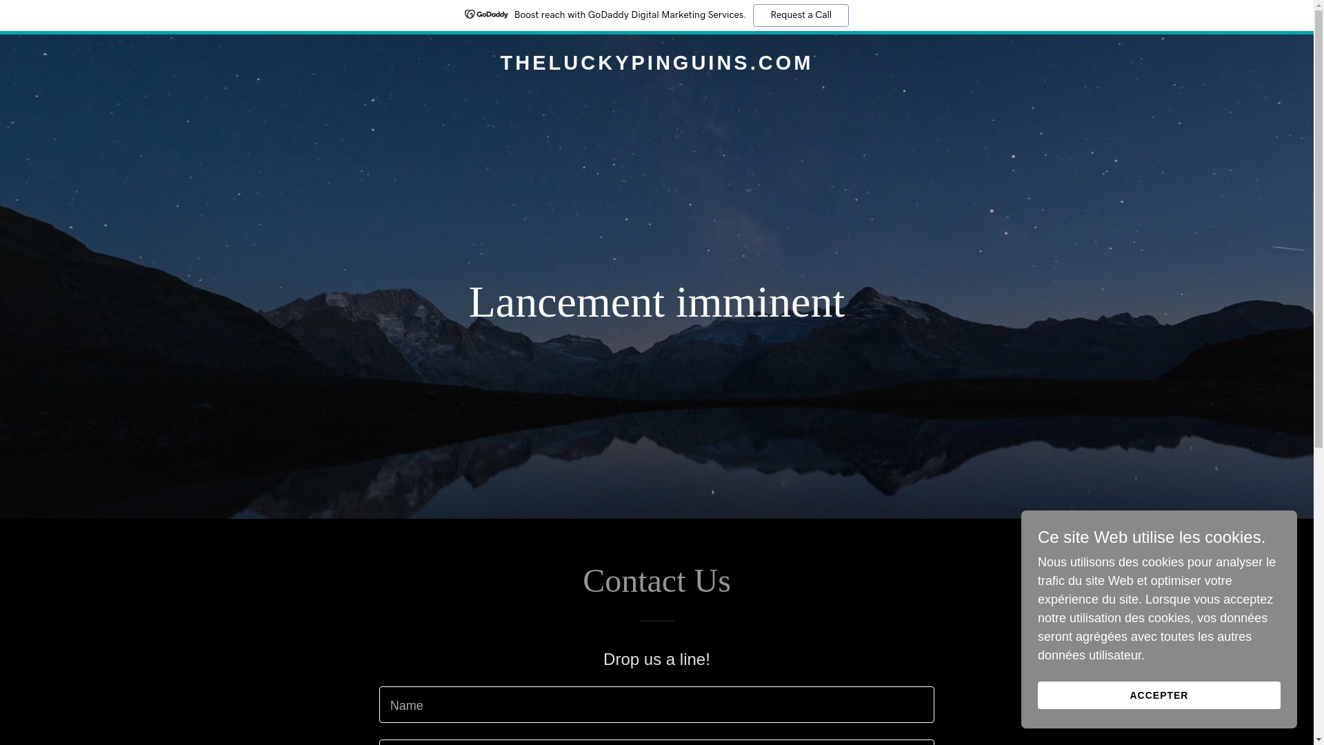 website screenshot of https://theluckypinguins.xyz/