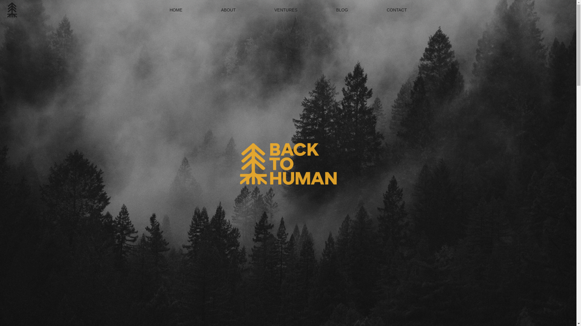 website screenshot of https://back-to-human.pages.dev/