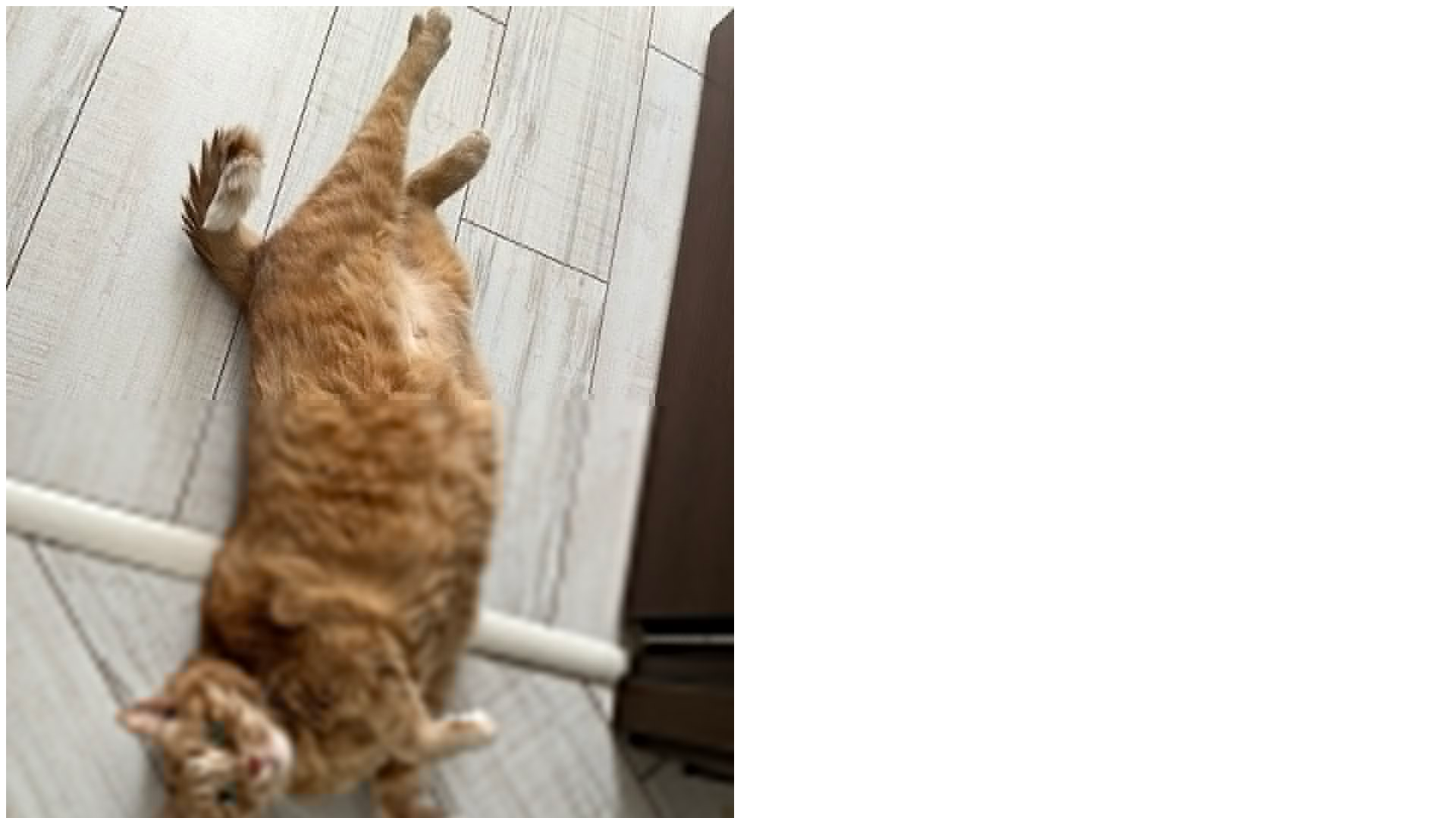 website screenshot of https://catscoring.com