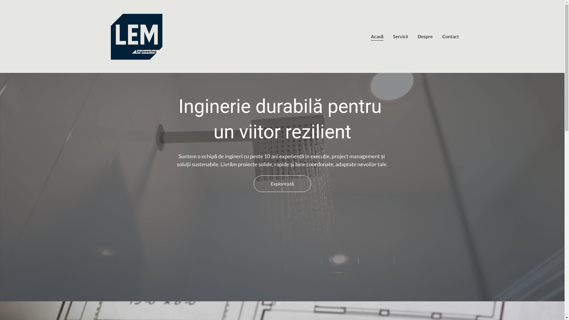 website screenshot of https://lemengineering.ro/