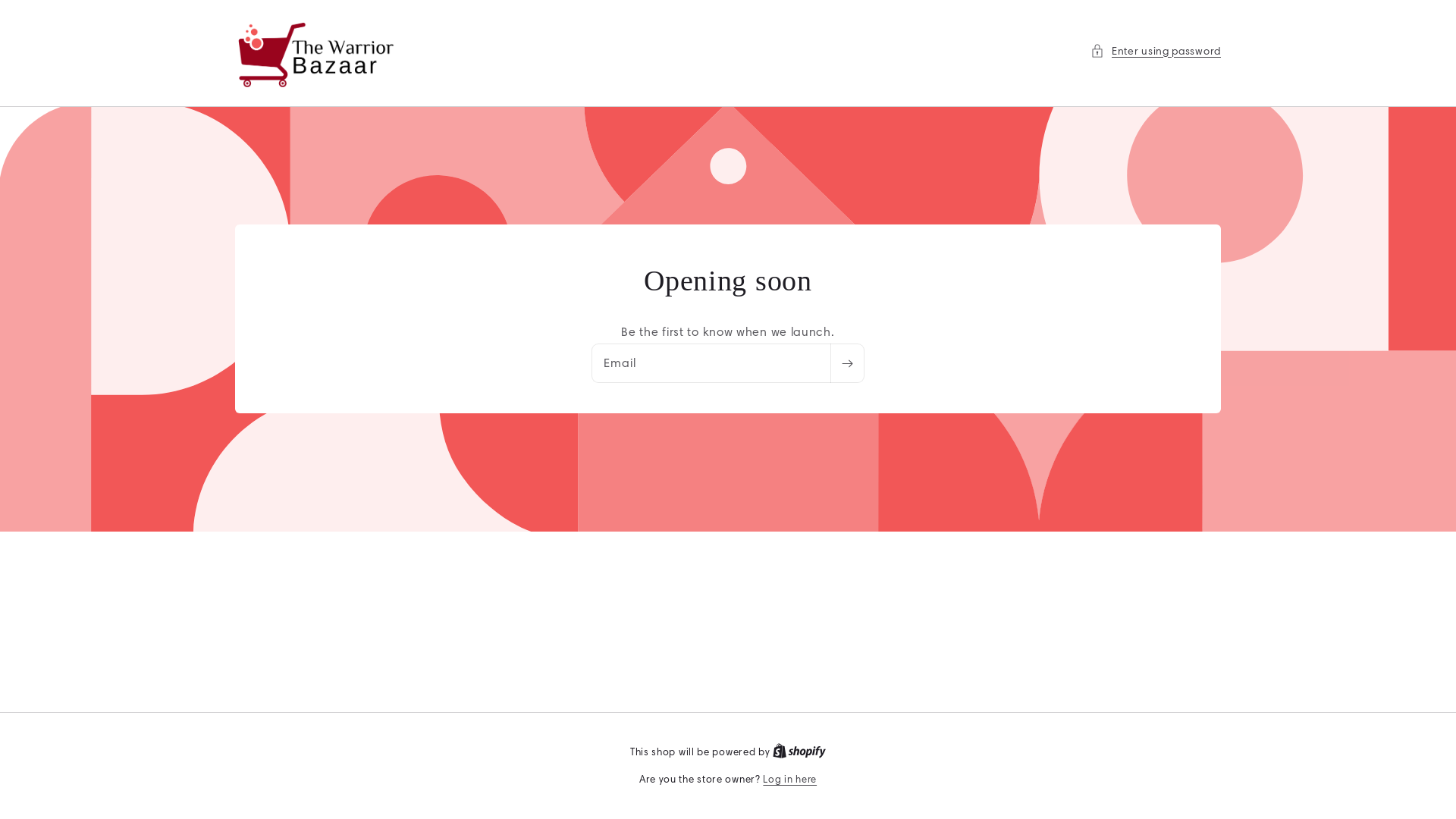 website screenshot of https://thewarriorbazaar.com/