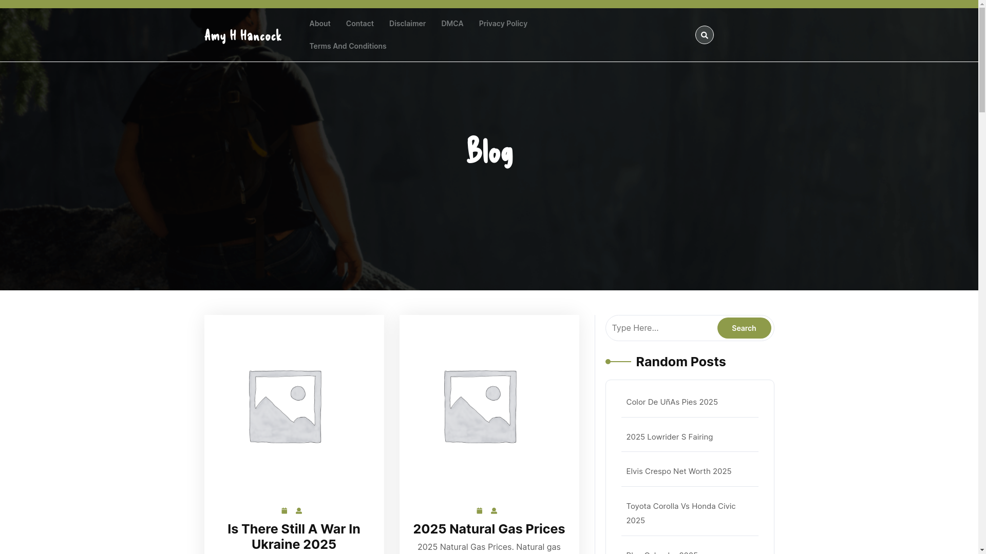 website screenshot of https://amyhhancock.pages.dev/