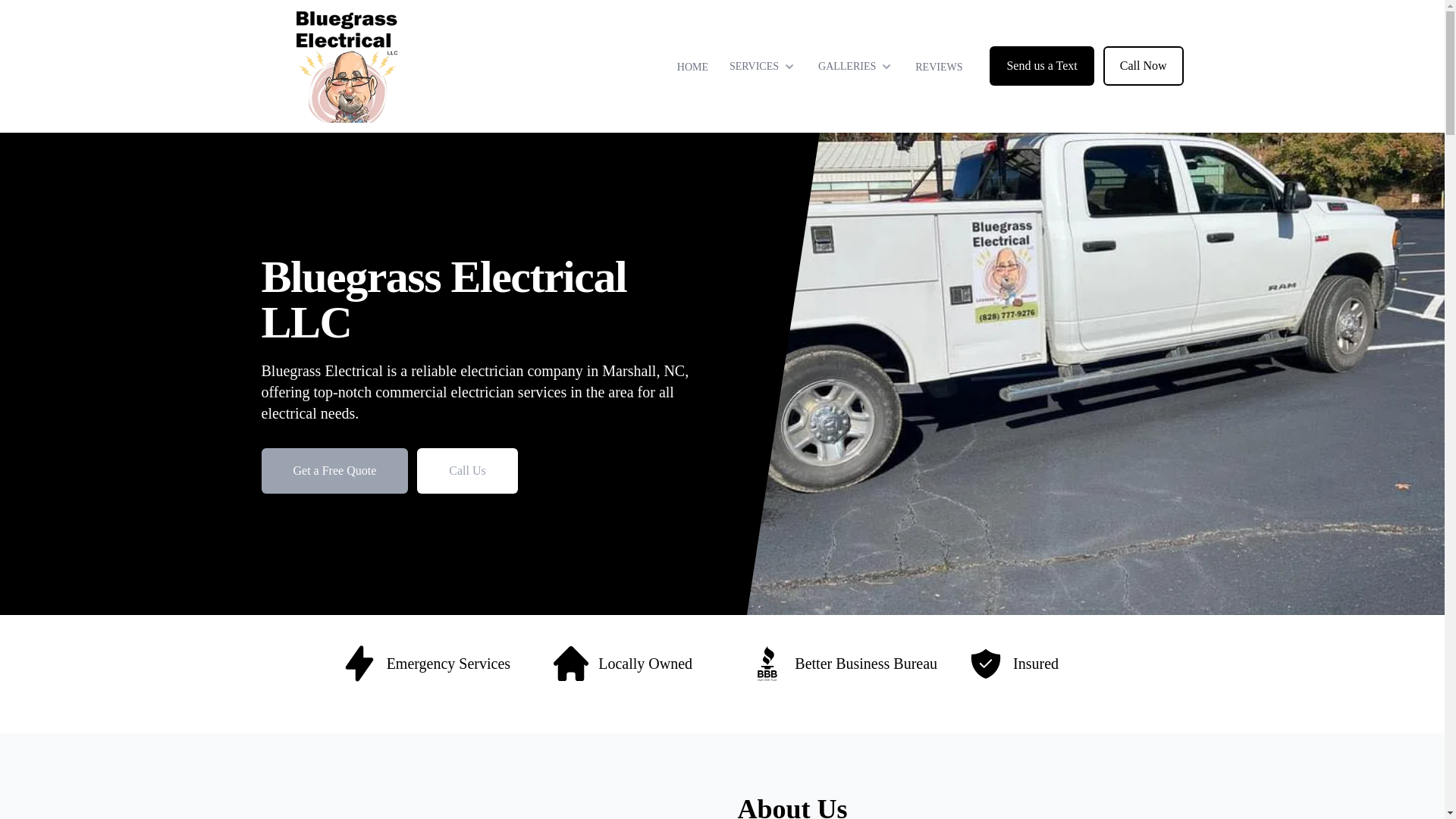 website screenshot of https://bluegrasselectricalllc.com/