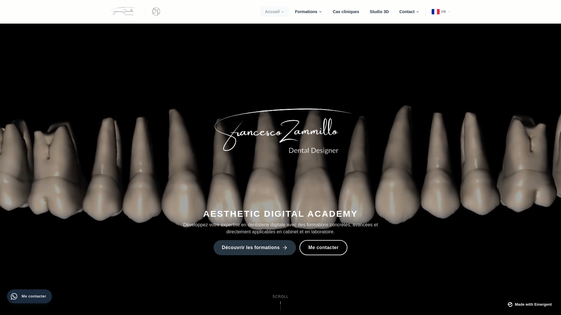 website screenshot of https://zammilloacademy.com/