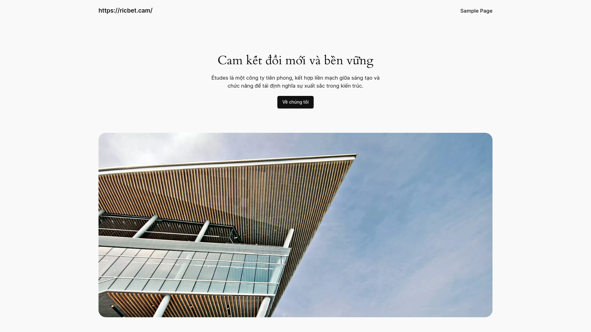 website screenshot of https://ricbet.cam/