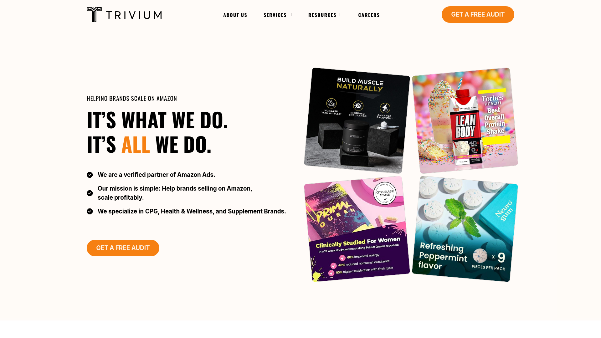 website screenshot of https://triviumbrands.com/