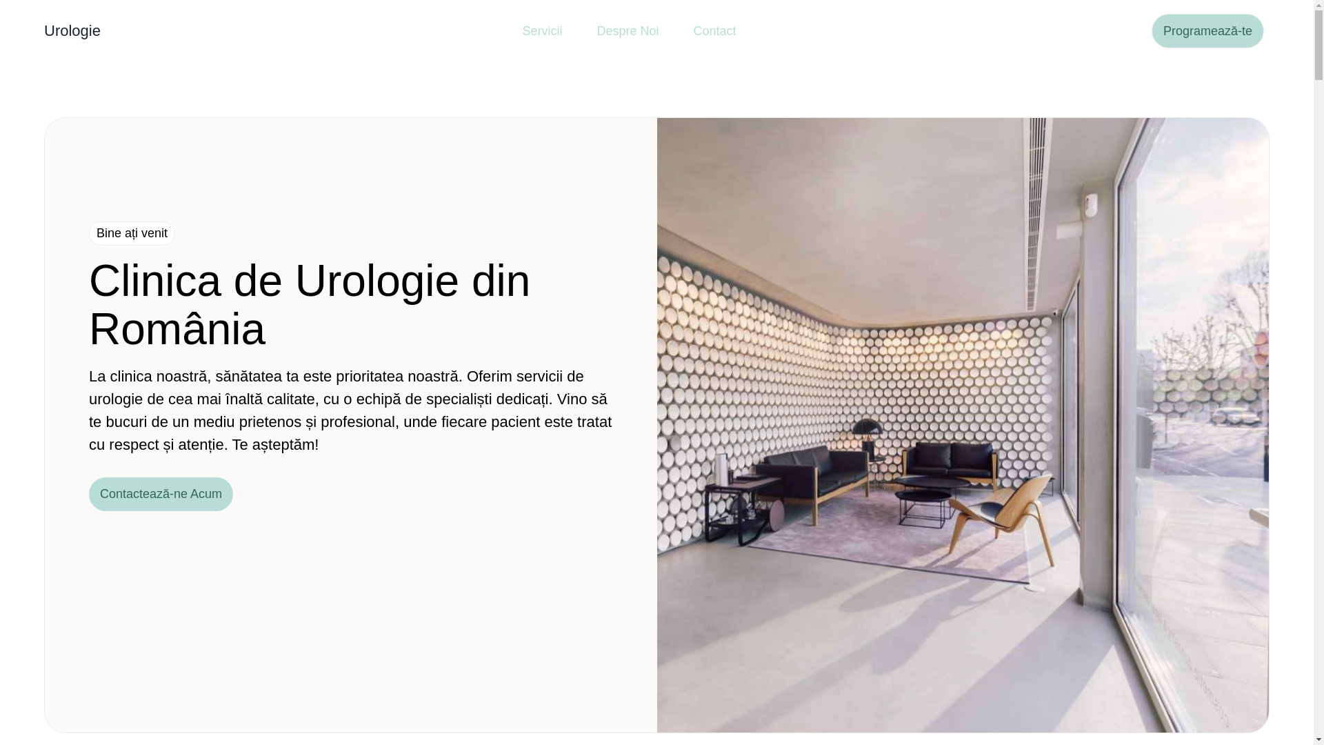 website screenshot of https://roarazine.shop/