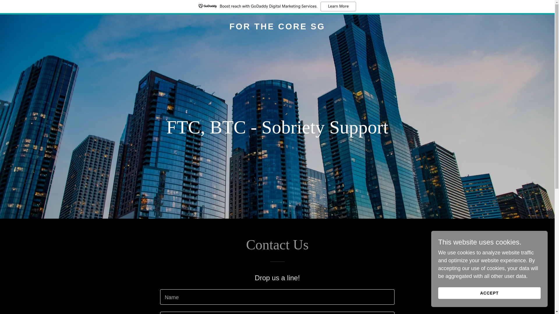 website screenshot of https://forthecoresg.com/
