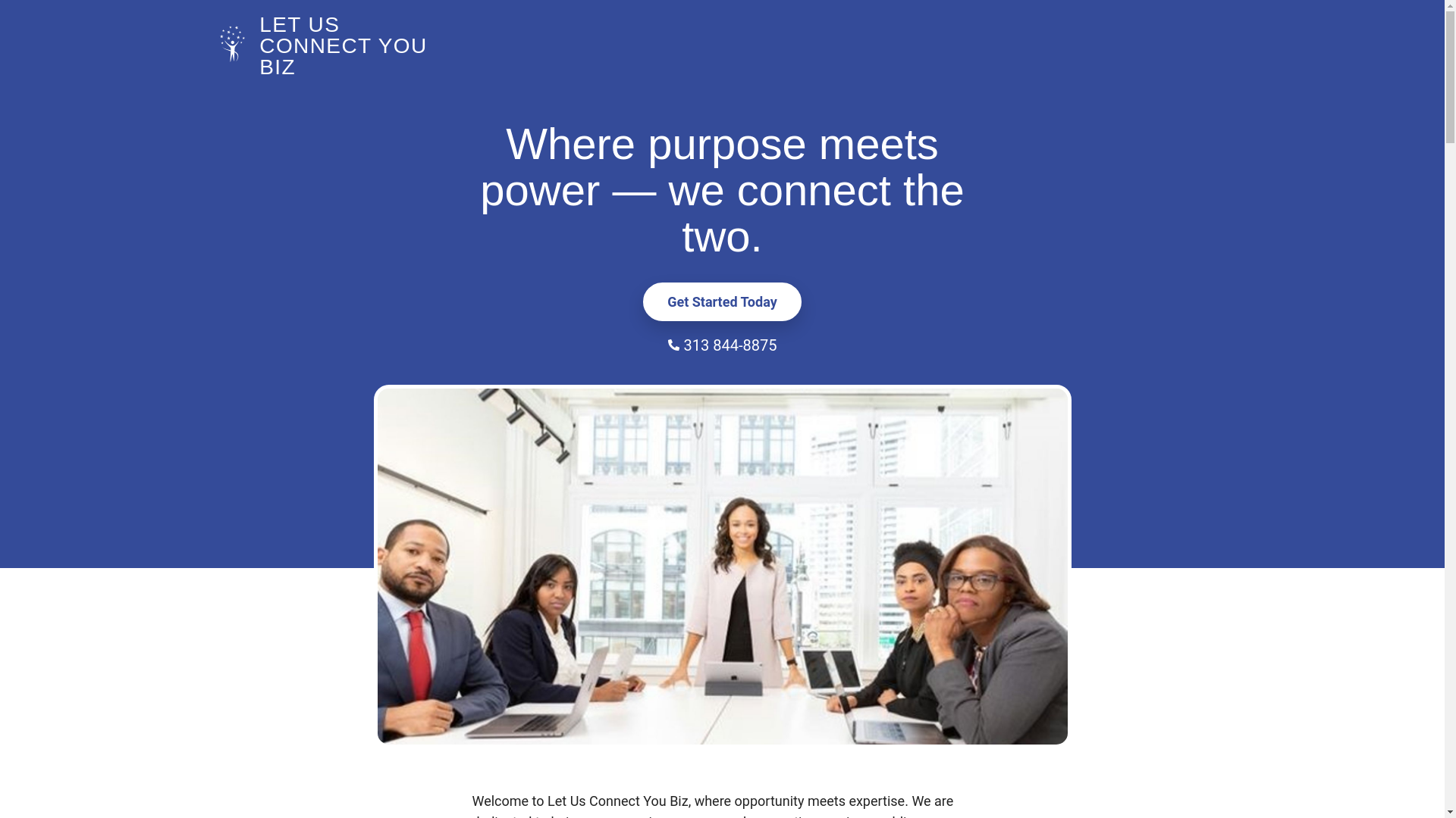 website screenshot of https://letusconnectyouforbiz.com/