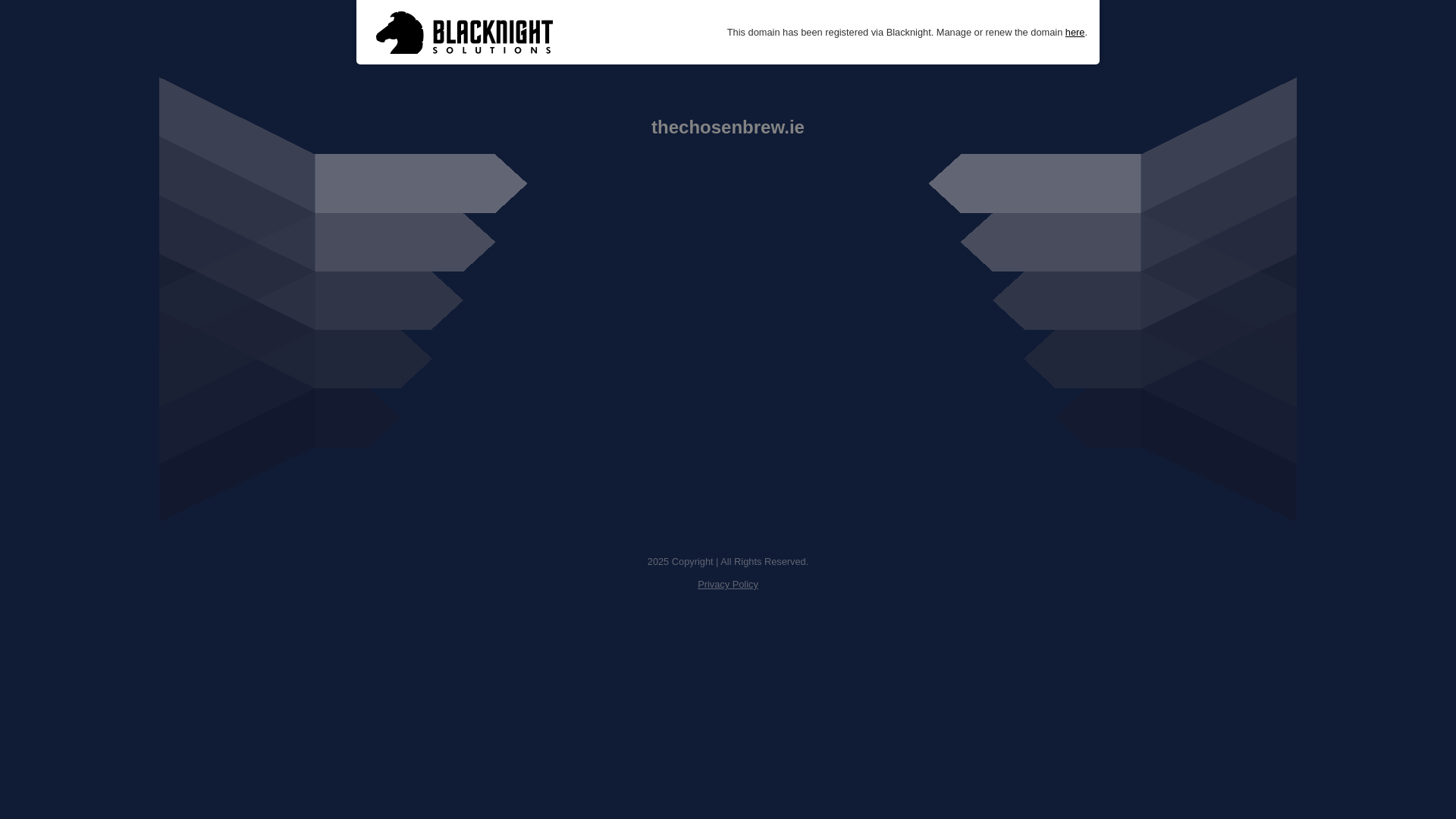 website screenshot of https://thechosenbrew.ie/