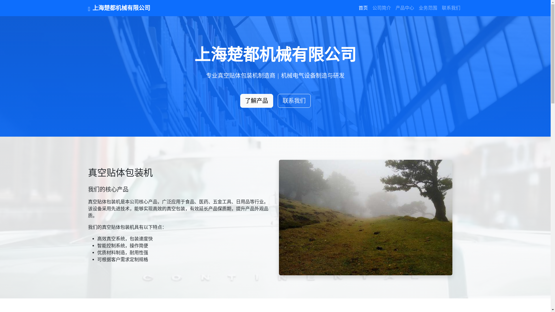 website screenshot of https://site100.pages.dev/