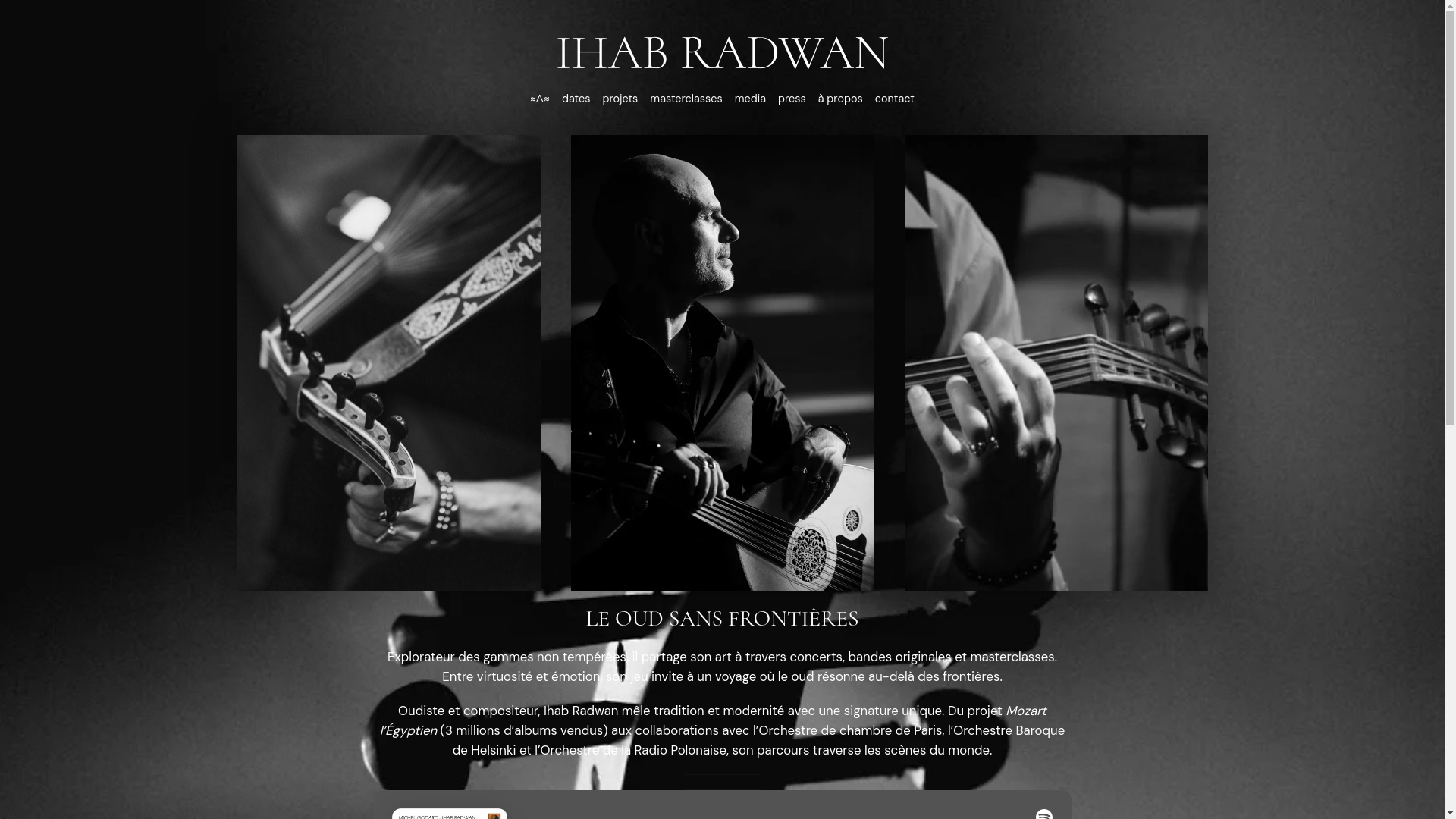 website screenshot of https://ihabradwan.com/