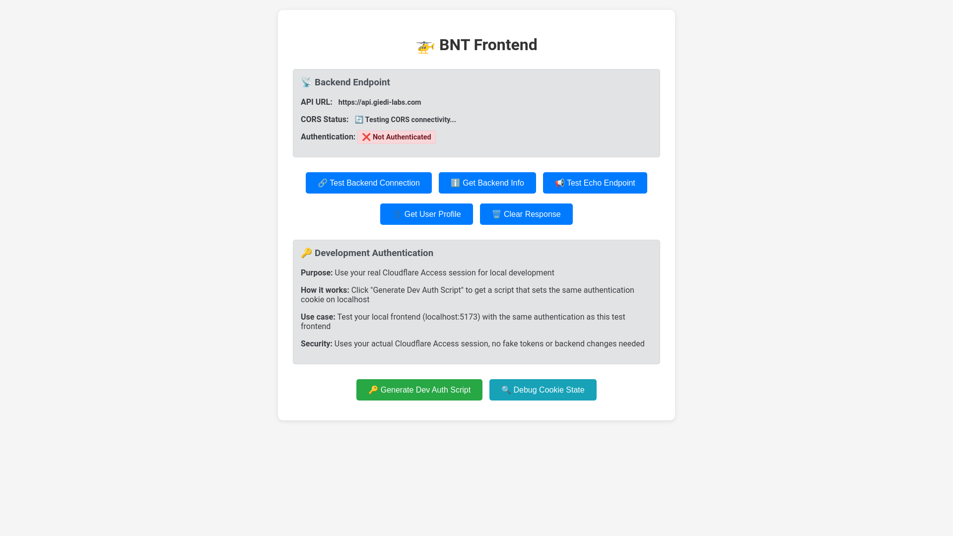 website screenshot of https://bnt-test-frontend-test.pages.dev/