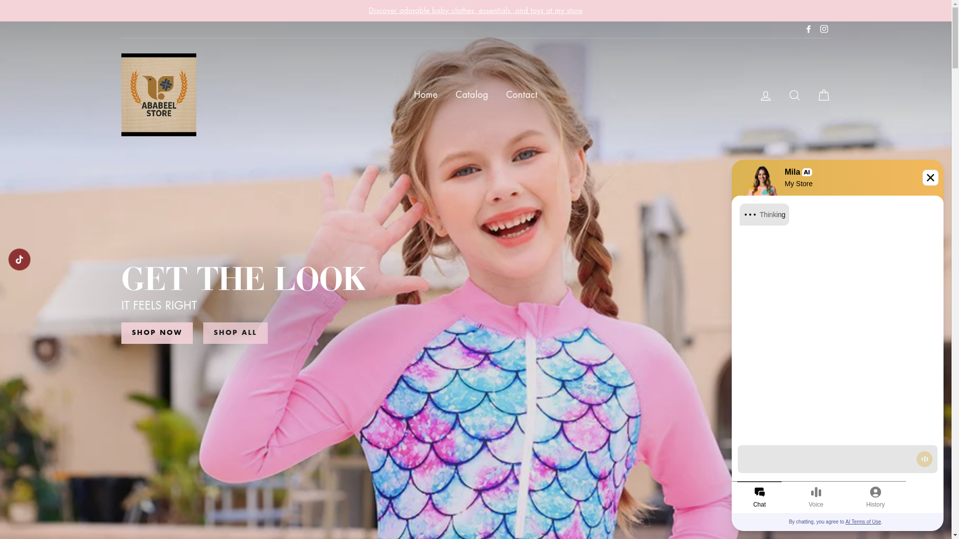 website screenshot of https://ababeelstore.net/