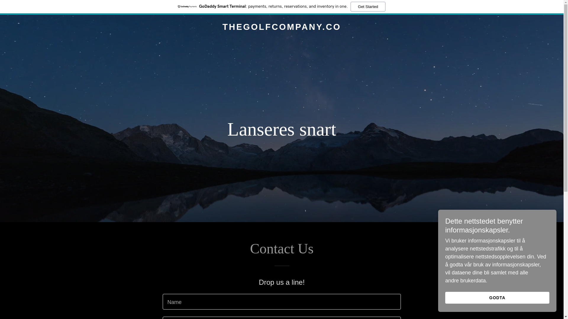 website screenshot of https://thegolfcompany.co/