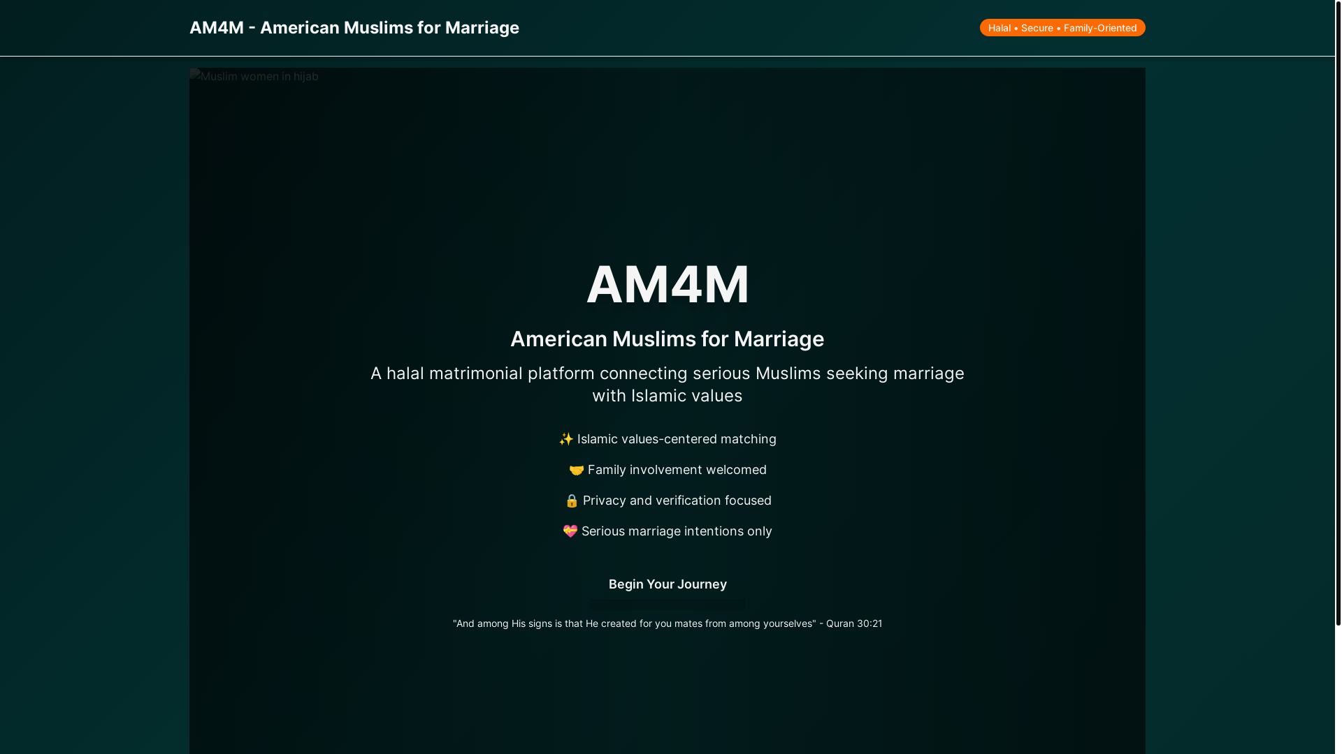 website screenshot of https://americanmuslim4marriage.com/