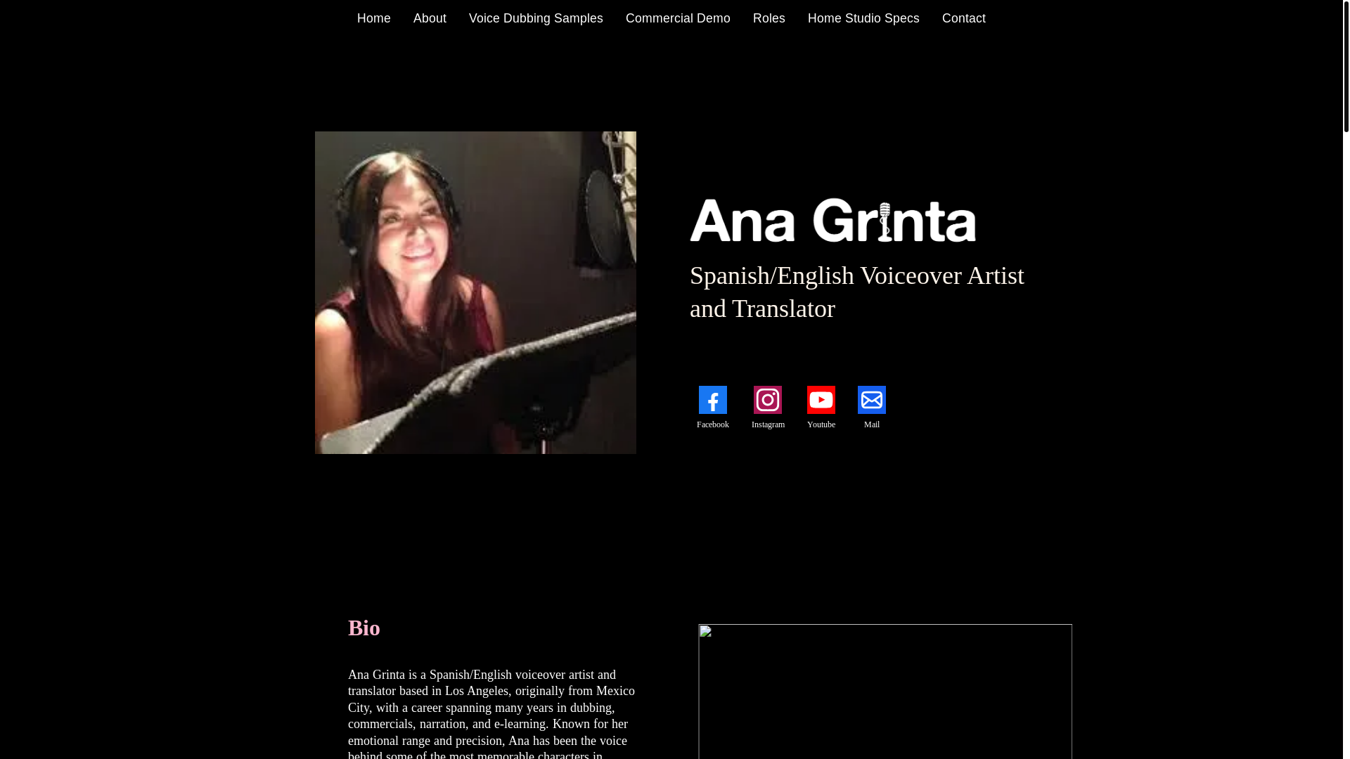website screenshot of https://anagrinta.com/