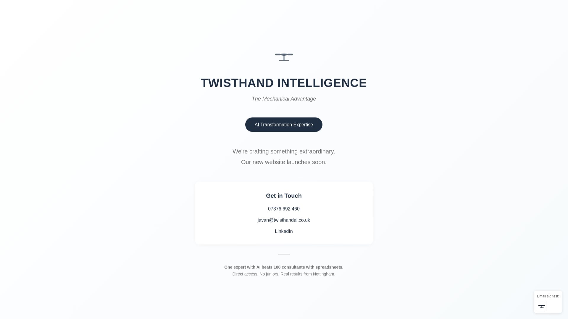 website screenshot of https://twisthand.pages.dev/