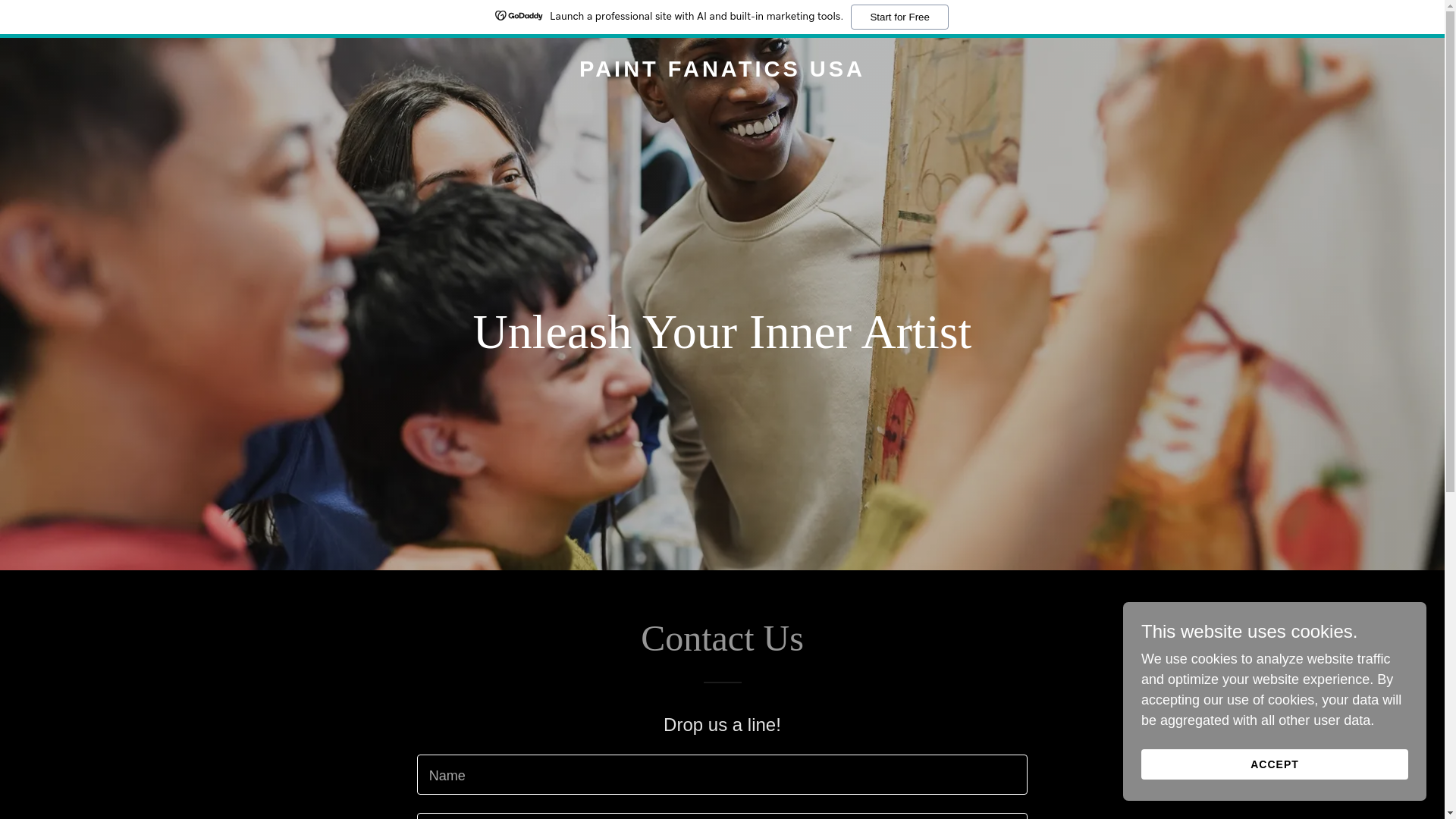website screenshot of https://paintfanaticsusa.com/