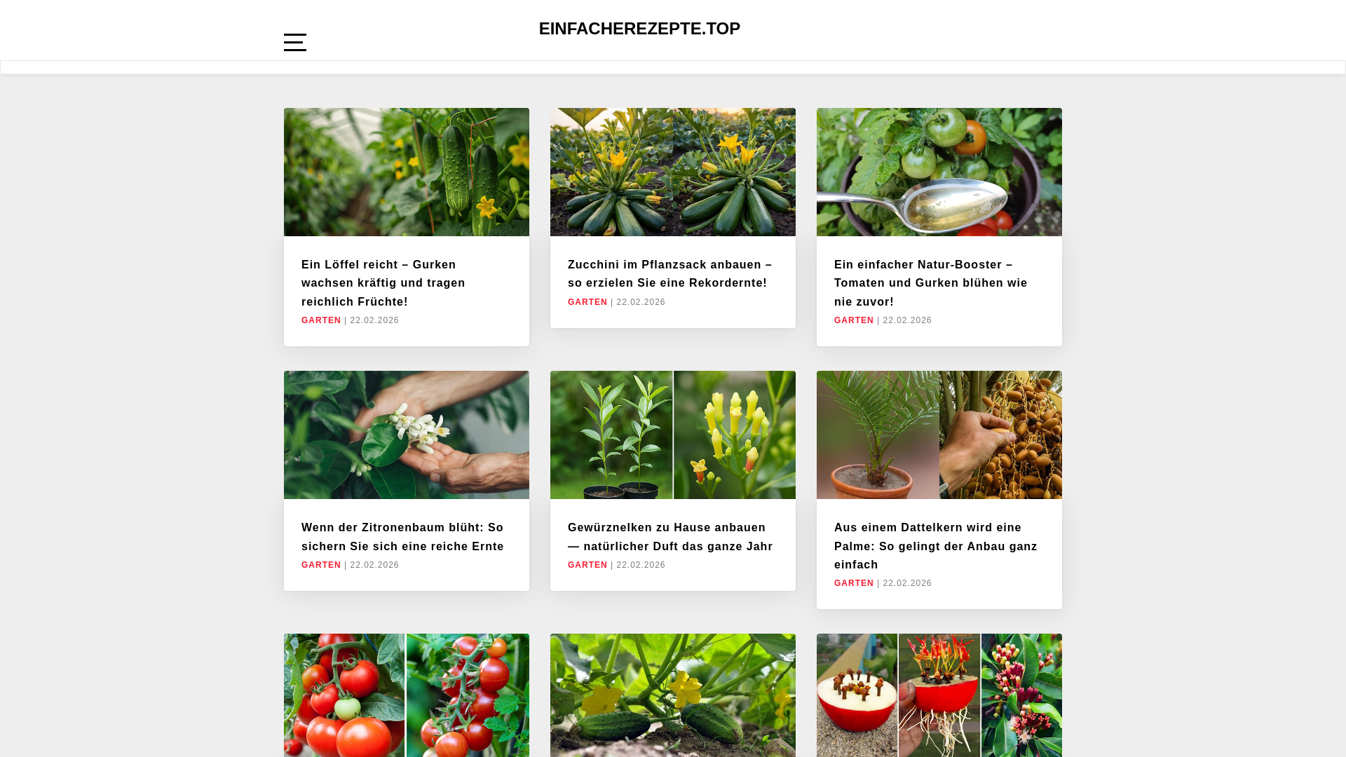 website screenshot of https://einfacherezepte.top/