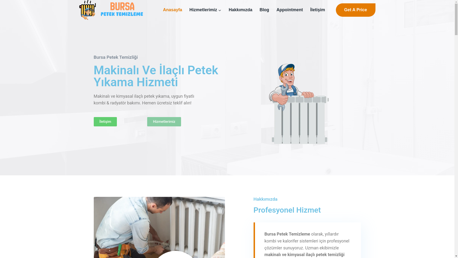website screenshot of https://bursapetektemizleme.tr/