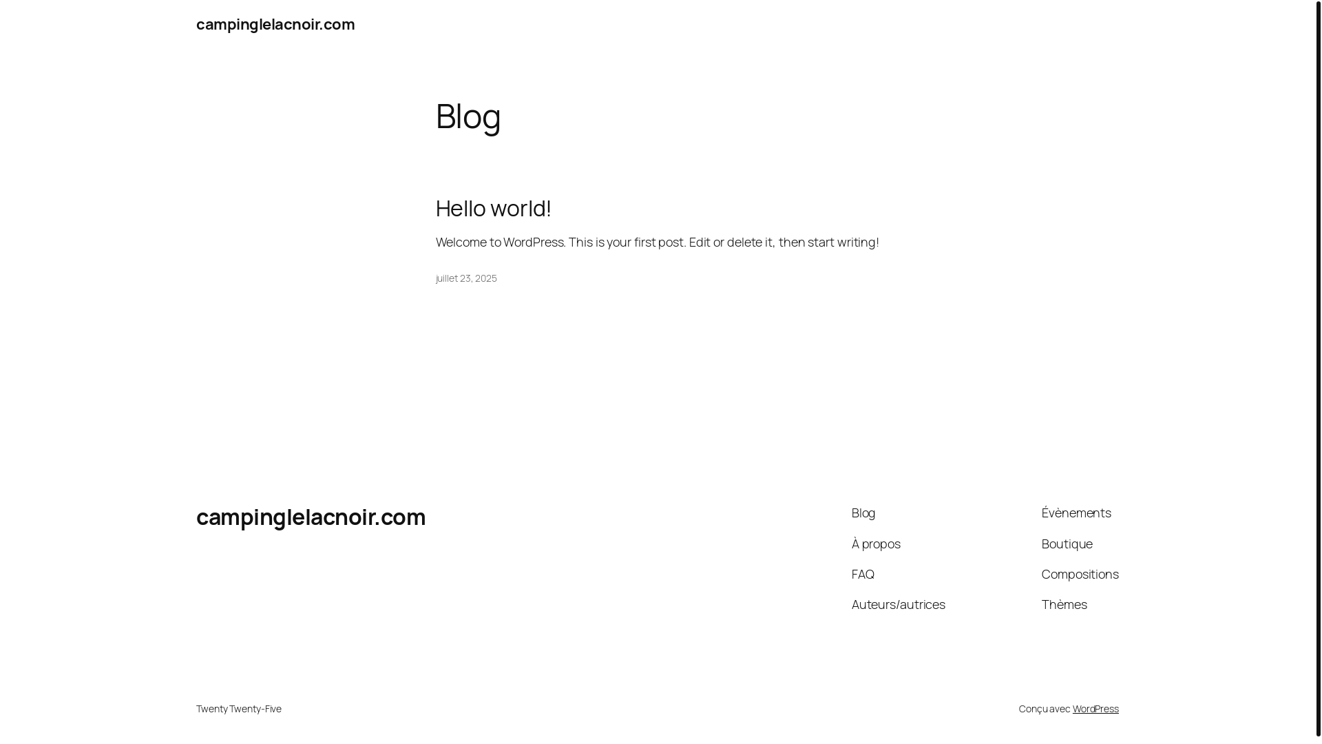 website screenshot of https://campinglelacnoir.com/