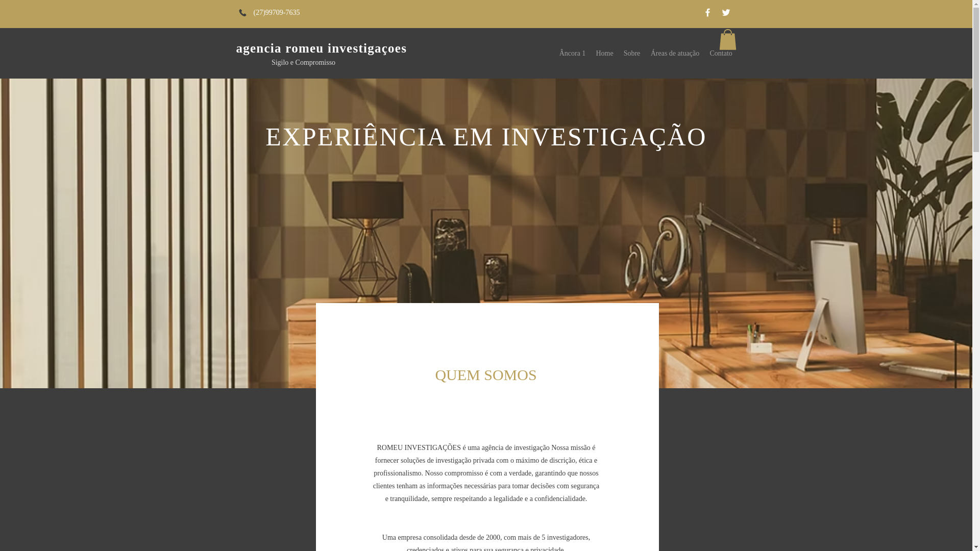 website screenshot of https://xn--agenciaromeuinvestigaoes-gec.com/