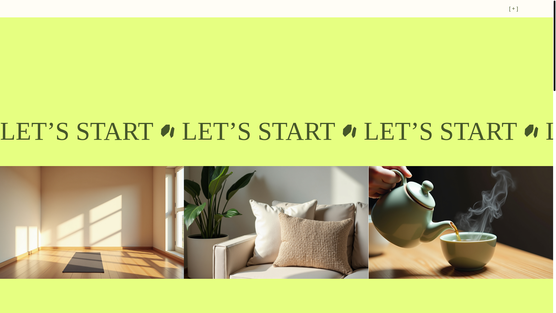 website screenshot of https://ameliahoeflich.com/