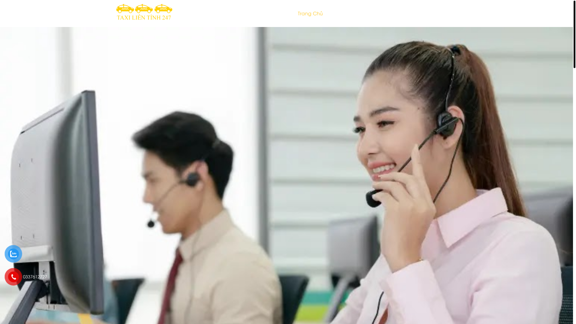 website screenshot of https://taxihcmbinhduong.com/