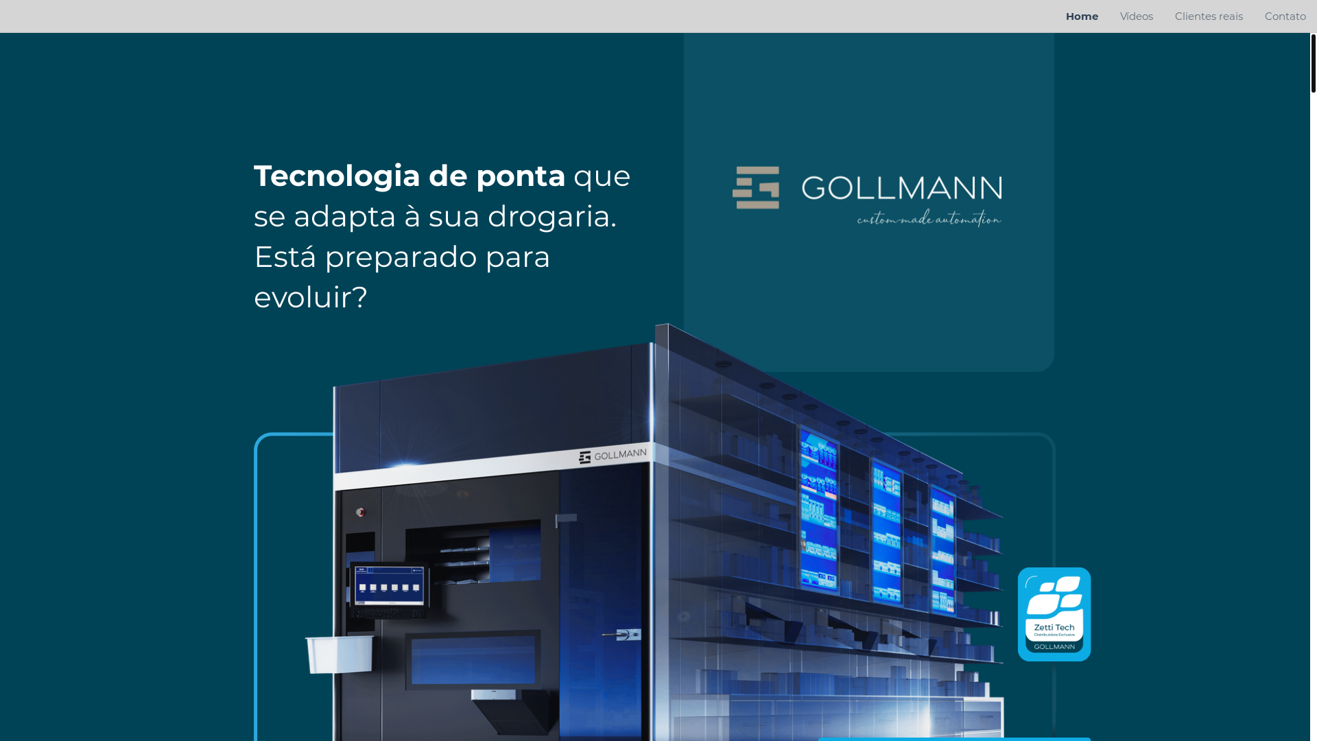 website screenshot of https://golman.com.br/