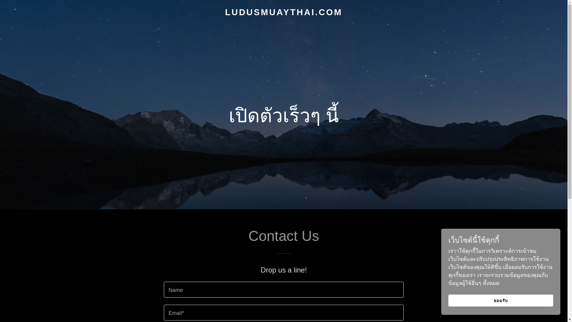 website screenshot of https://ludusmuaythai.com/
