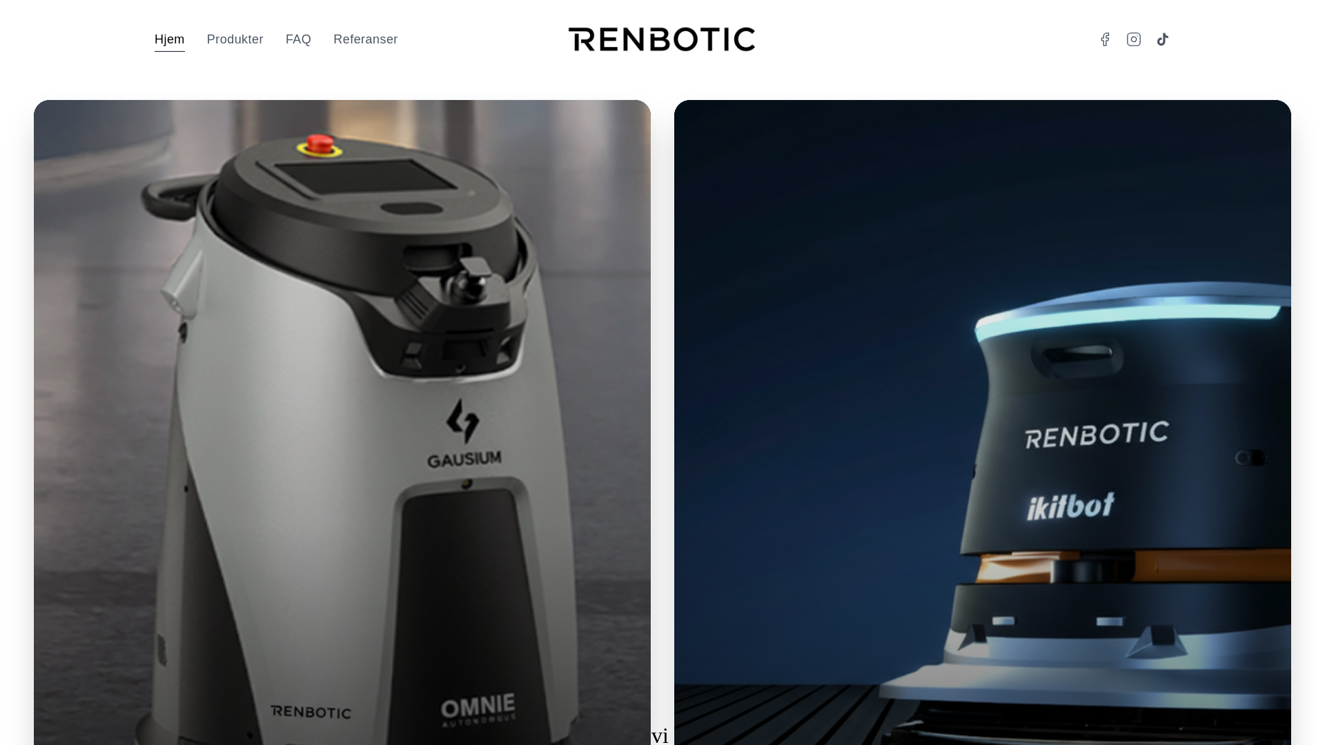 website screenshot of https://renbotic.no/