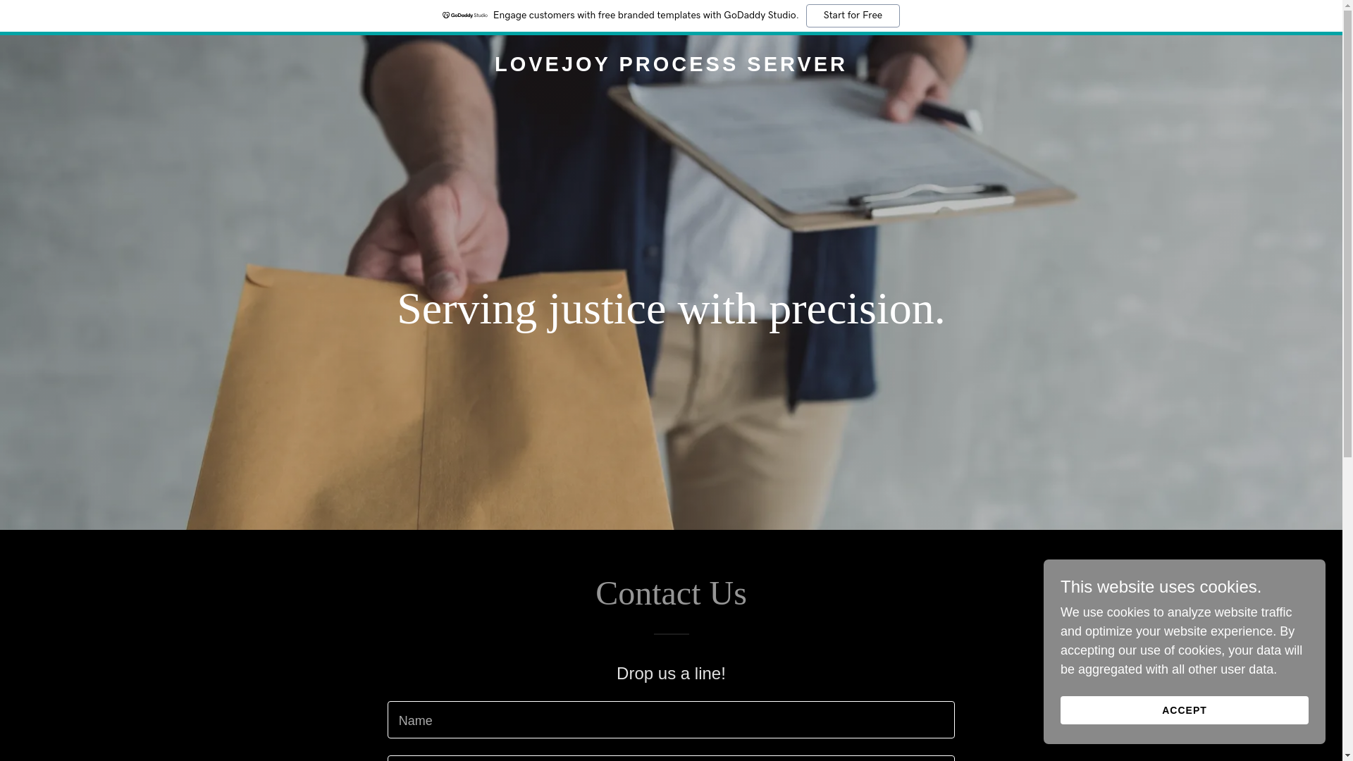 website screenshot of https://lovejoyprocessserver.online/