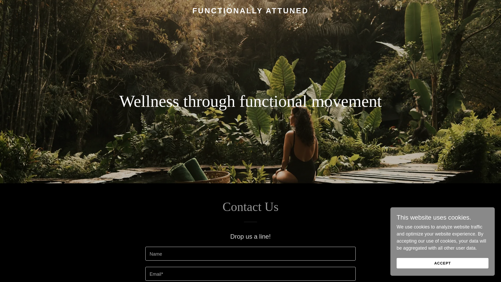 website screenshot of https://functionallyattuned.com/