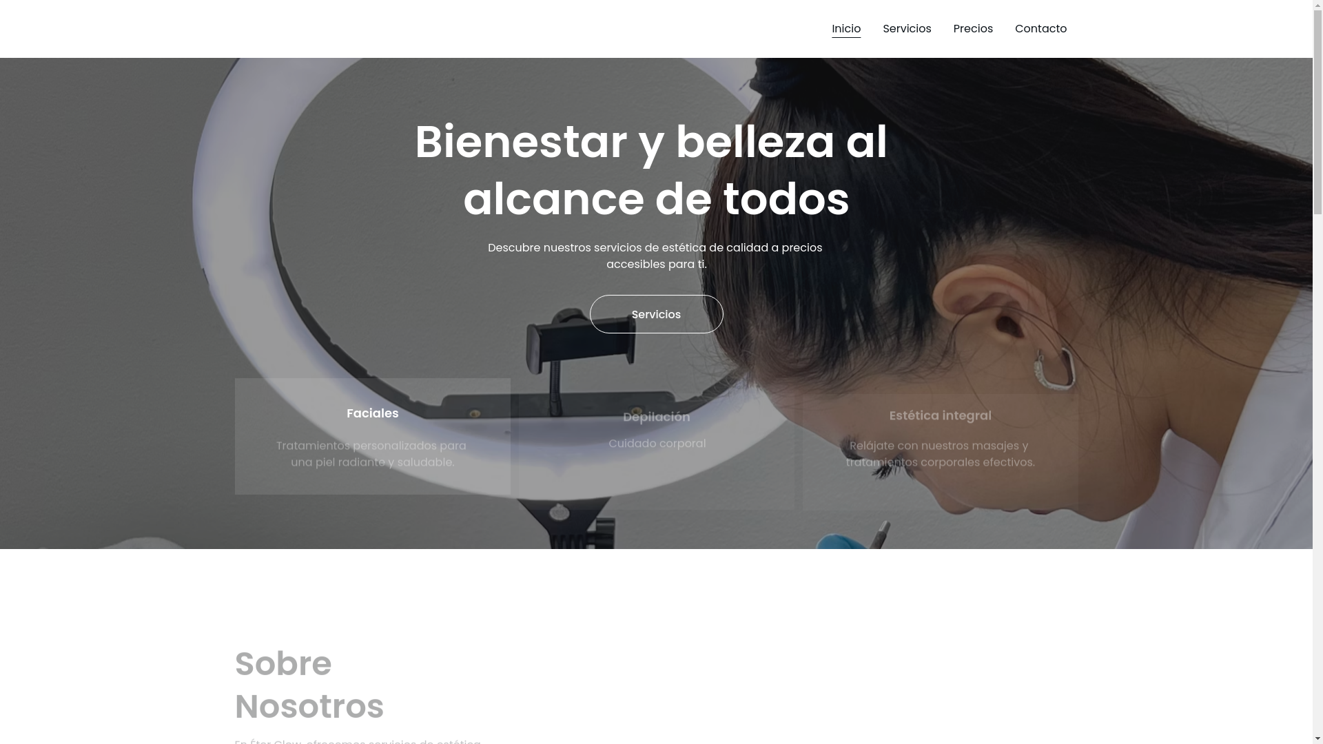 website screenshot of https://xn--terglow-9xa.es/