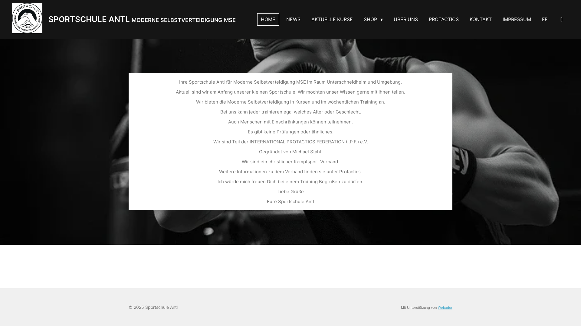 website screenshot of https://antl-mse.de/
