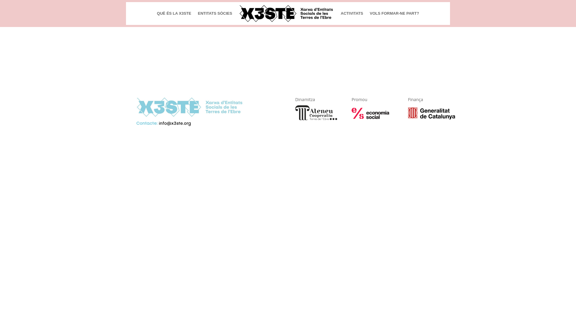 website screenshot of https://x3ste.org/