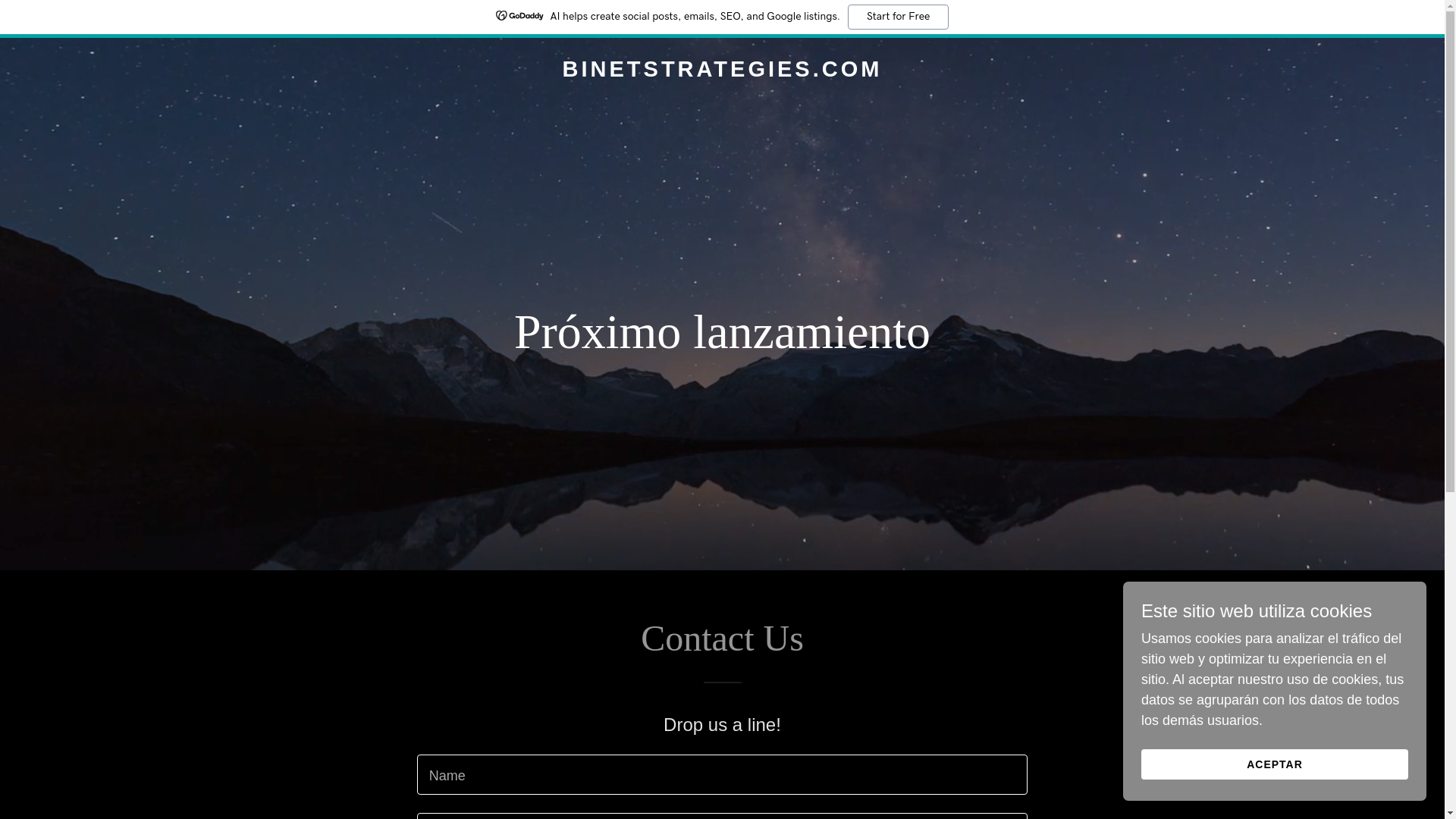 website screenshot of https://binetstrategies.com/
