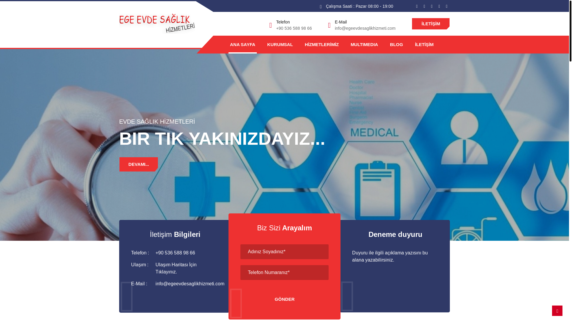 website screenshot of https://egeevdesaglikhizmeti.com/