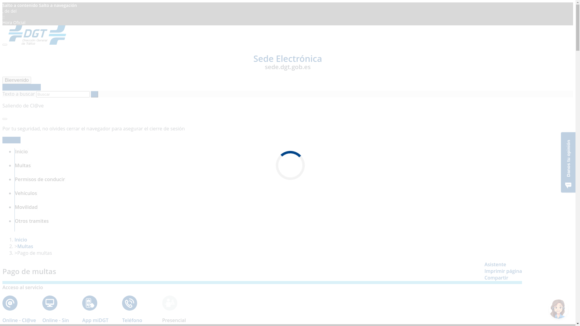 website screenshot of https://malagagobierno.sbs/