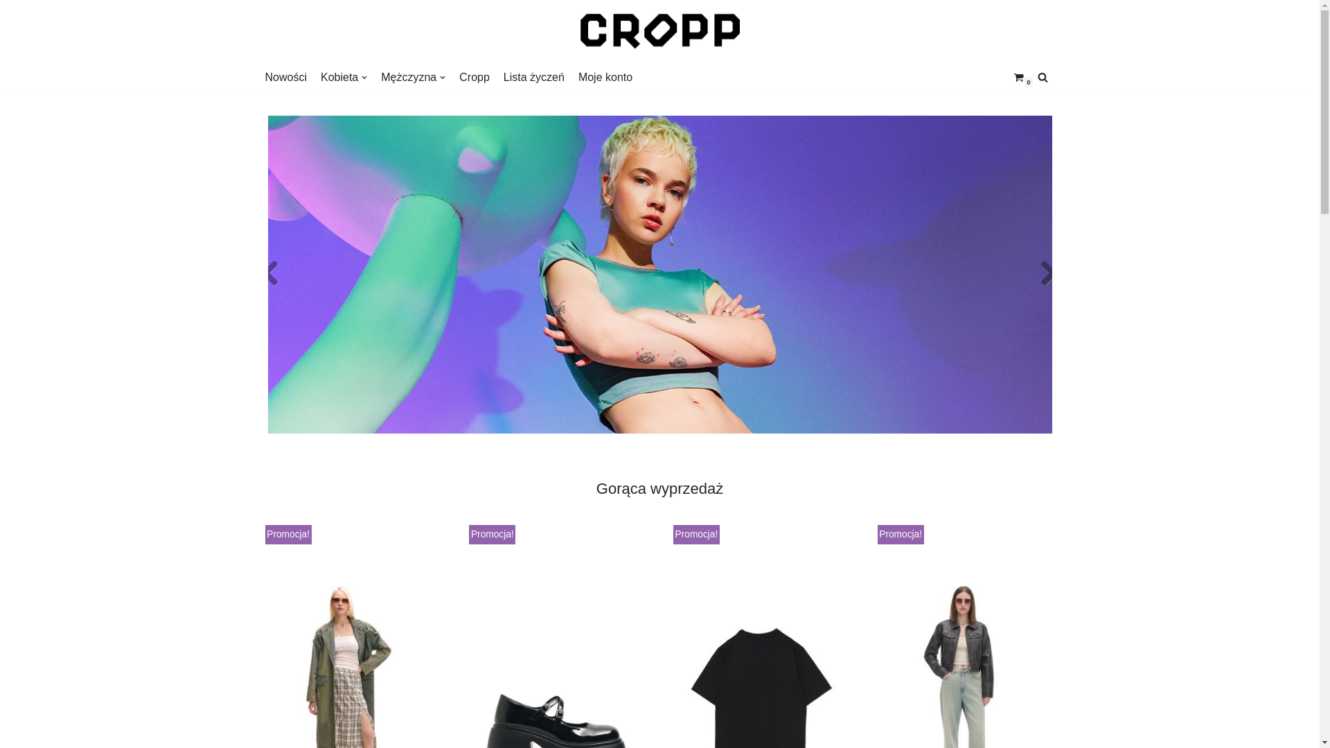 website screenshot of https://hollingsheadova.shop/