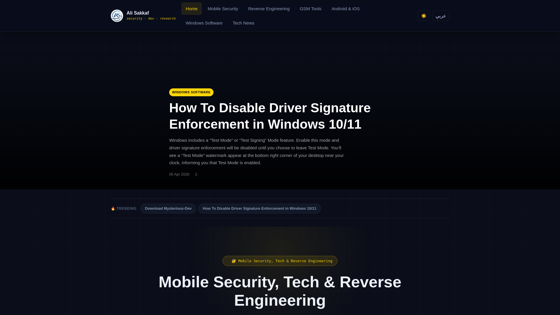 website screenshot of https://alisakkaf.com/