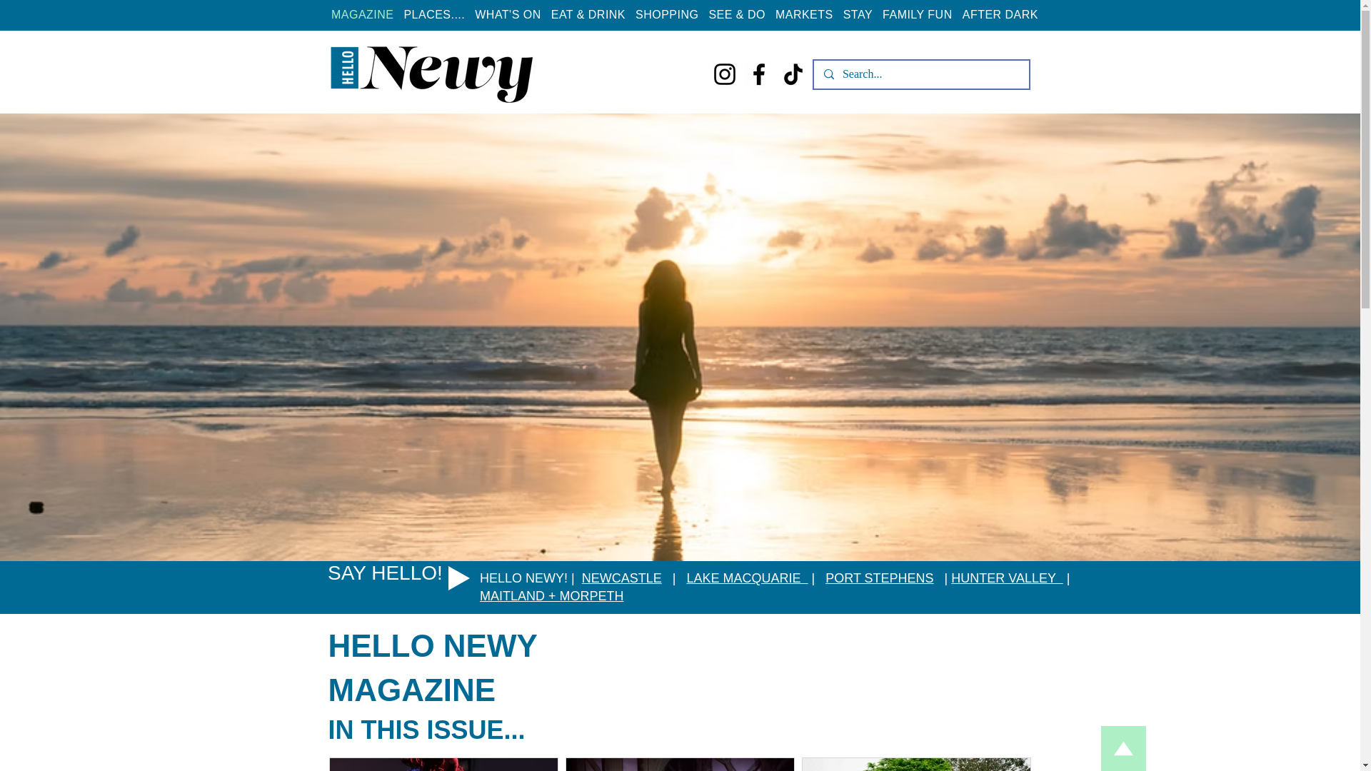 website screenshot of https://lovenewy.com.au/