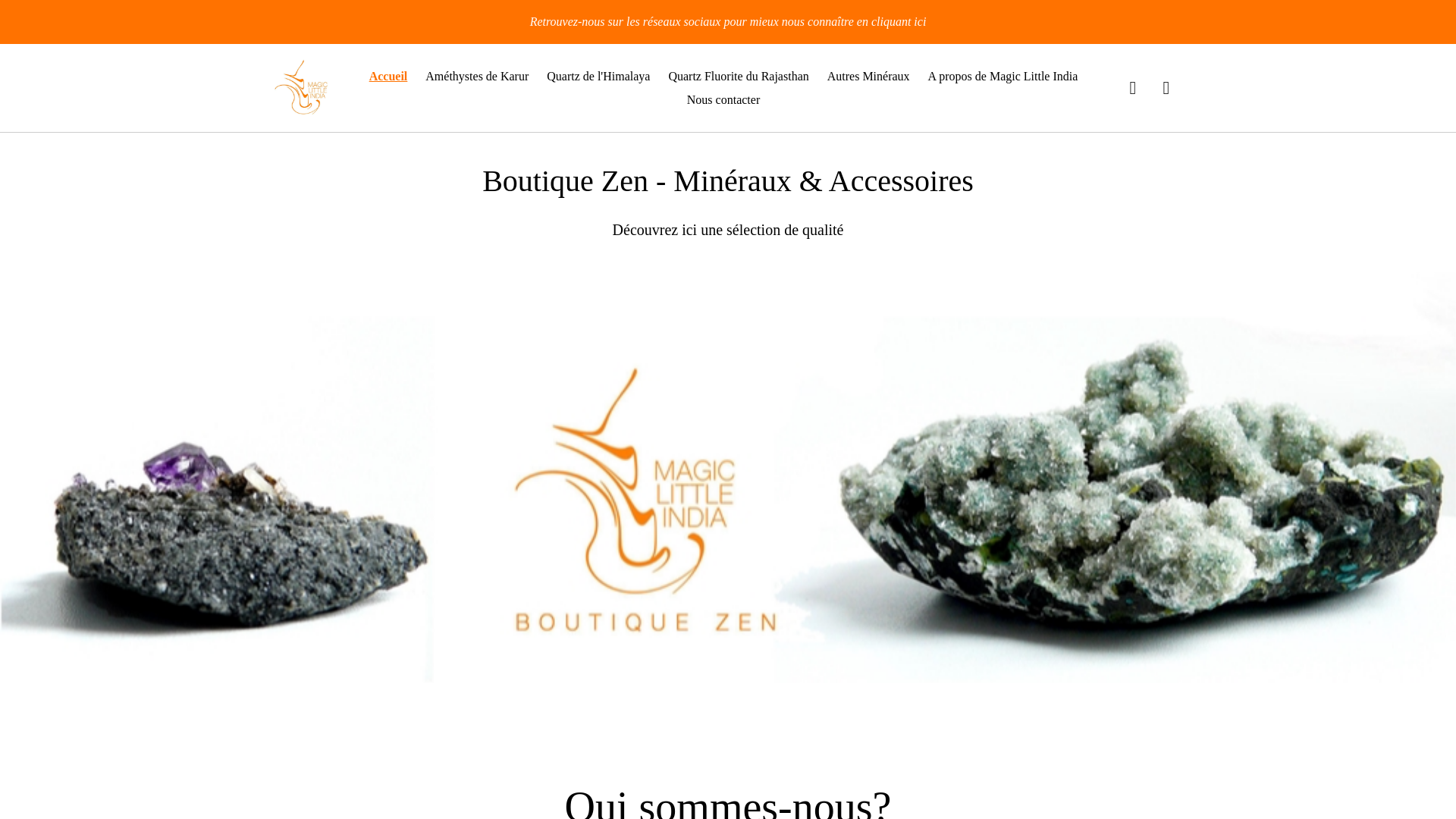 website screenshot of https://magiclittleindia.com